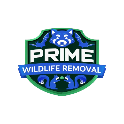 Animal Removal Delaware County